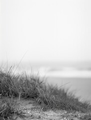 Canvas Print - A beach with a grassy hillside and a body of water in the background