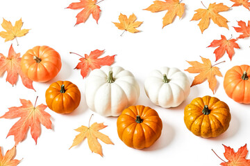 Poster - White and Orange Pumpkins with Autumn Leaves