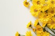 © SKIMP Art - Yellow flowers border a white background, with a yellow color theme, leaving copy space for text Generative AI