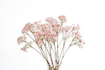 Poster - Delicate Pink Flowers in a Vase