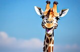 A close-up portrait of a giraffe with an expressive, smiling face set against a bright blue background.