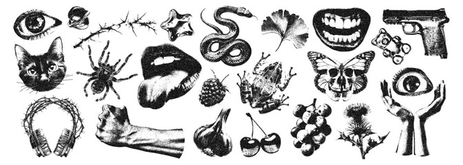 Fototapete - Dangerous retro elements with photocopy stipple effect for collage art. Vector illustration of cat, snake, flower, cherry, pistole, hands, eyes in halftone dotwork design for banner or poster, punk gr