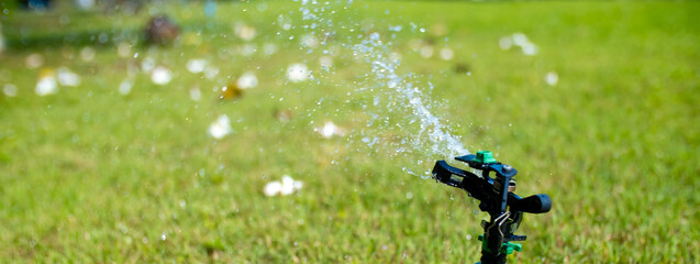 Wall Mural - Sprinkler for automatic lawn watering. Lawn cultivation and care, garden irrigation devices. Rainbow over the garden on a sunny day.