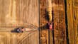 © daniel - Aerial view of harvester and tractor in the field