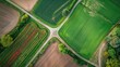 © Giovanni - A bird s eye view of farm fields divided by a forked road