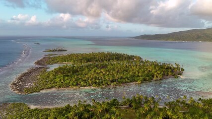 Wall Mural - Dense tropical palm trees cover a motu near the island of Taha'a. Green, blue, turquoise, azure ocean water filled with beautiful coral in a reef channel. 