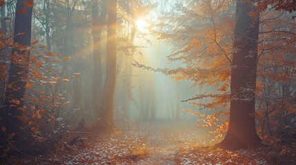 Sticker - Mystical Autumn Forest Path