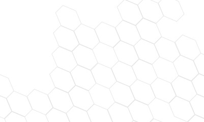 Poster - Abstract white and gray hexagon technology lines background. Abstract white and grey color hexagonal geometric background with copy space. Abstract white lines background.