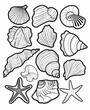© ImagineThatStudios - Simple coloring book cartoon style drawings of sea shells