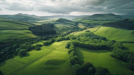 Wall Mural - Aerial View of Rolling Green Hills