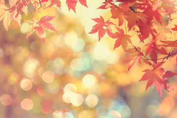 Poster - web banner design for autumn season and end year activity with red and yellow maple leaves with soft focus light and bokeh background