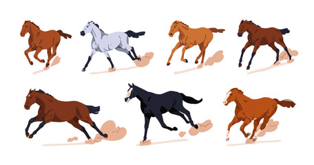 Poster - Galloping horses in motion. Thoroughbred stallions racing, running at fast speed. Free wild equine breeds, steeds in action, movement. Flat vector illustrations set isolated on white background