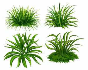 Poster - Vibrant green grass and herbs beautifully illustrated in a flat style, perfect for natureinspired designs and decor.