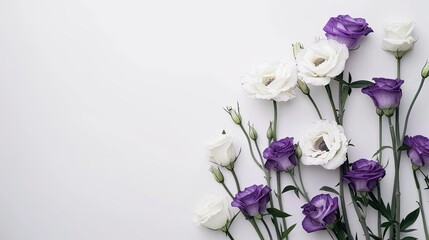 Wall Mural - Elegant arrangement of white and purple eustoma flowers on a white background, flat lay view with plenty of copy space for wedding invitations.