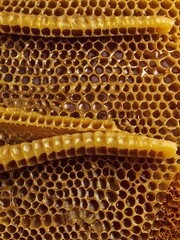 Poster - Detailed texture pattern of beeswax honeycomb