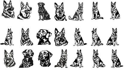 Poster - set of dogs