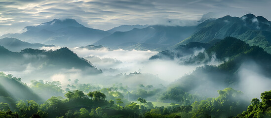 Wall Mural - Mountain landscape filled with mist in the morning offers a warm greeting to travelers with a foggy and cloudy tropical backdrop, featuring copy space image.