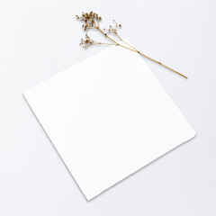 Poster - Blank canvas png transparent mockup