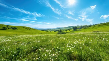 Wall Mural - idyllic summer meadow with rolling hills of vibrant green grass dotted with wildflowers under a crystalclear azure sky with wispy clouds