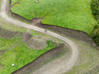 Wall Mural - Aerial view of woman riding mountain bike on flowering grassland mountain trail