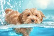 © ArtSpree - A close-up shot capturing the delightful expression of a poodle as it swims underwater, surrounded by bubbles. Beautiful simple AI generated image in 4K, unique.