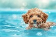 © ArtSpree - Underwater funny photo of brown maltipoo poodle puppy in the pool playing with fun - jumping, diving deep down. Beautiful simple AI generated image in 4K, unique.