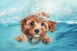 © ArtSpree - A high-resolution image highlighting a soaking wet dog swimming with vigilant eyes. Beautiful simple AI generated image in 4K, unique.