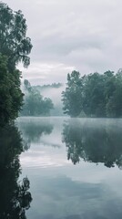 Wall Mural - Misty morning with reflection of trees on the water