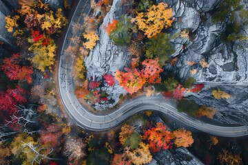 Sticker - Aerial View of Winding Road Through Colorful Autumn Forest.