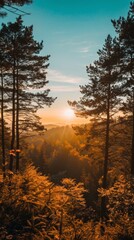 Wall Mural - Forest sunrise with golden light