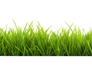 Green grass frame isolated on transparent background.