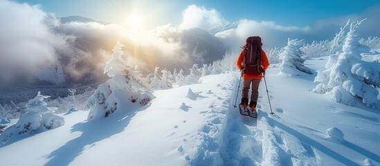 Wall Mural - Snowy Mountain Hiker