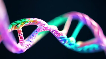 Wall Mural - A brightly colored double helix DNA model against a dark backdrop.