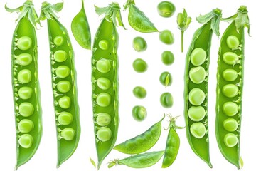 Fresh green peas arranged neatly on a white background, ideal for food or packaging illustrations