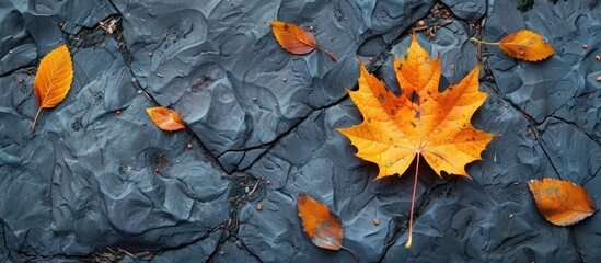 Poster - Autumn Leaves on a Gray Stone Surface