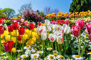 A colorful garden in full bloom with a variety of flowers under a clear spring sky.