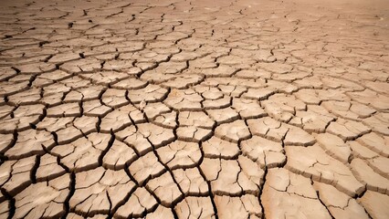 Wall Mural - Cracked dry earth soil surface. Nature environment ground drought, desert land heat, climate change and global warming, hot summer weather