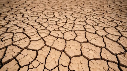 Wall Mural - Cracked dry earth soil surface. Nature environment ground drought, desert land heat, climate change and global warming, hot summer weather