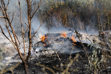 Forest and steppe fires dry completely destroy the fields and steppes during a severe drought. Disaster brings regular damage to nature and economy of region. Lights field with the harvest of wheat