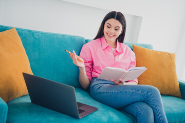 Wall Mural - Photo of pretty cheerful lady wear pink shirt sitting couch online education device indoors room home house