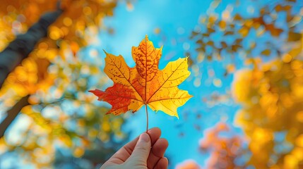 Canvas Print - Autumn Leaf Held Up Against a Blue Sky