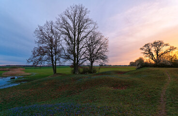 Wall Mural - Abendstimmung im NSG Sulzheimer Gipshügel, Landkreis Schweinfurt, Unterfranken, Bayern, Deutschland.