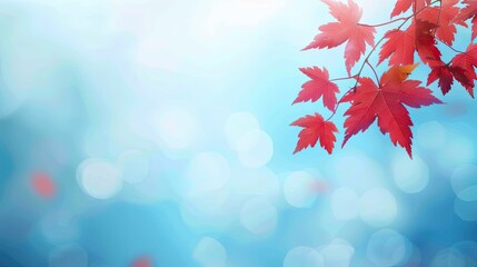 Canvas Print - Red Maple Leaves Against a Blue Sky