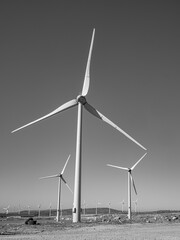 Tenerife, Summer, Canarian island, 2024 Wind farm