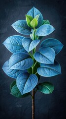 Canvas Print - the plant is a plant that is called the plant.