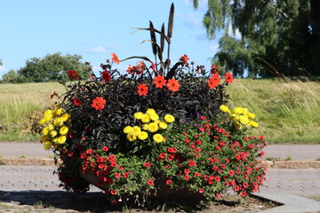 Poster - Sweden. A flowerbed of different flowers in the city of Linkoping. Ostergotland province.                                       