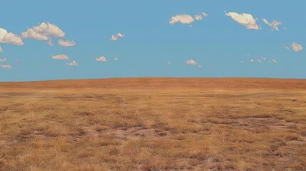 Sticker -   A solitary horse amidst a barren grass field beneath a blue sky with fluffy white clouds