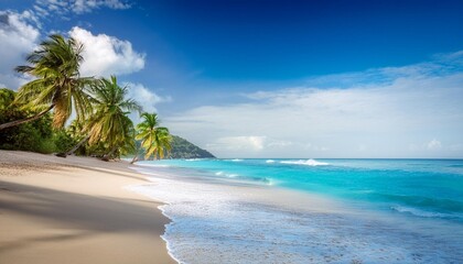 Wall Mural - beach with palm trees