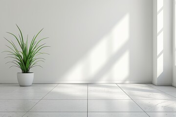 Minimalistic white room with a single potted plant, casting soft shadows in the bright sunlight, creating a calm and modern indoor environment.