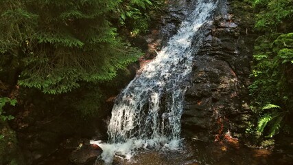 Wall Mural - Beautiful view at the Winberg Waterfalls in St. Blasien - Black Forest,  Germany